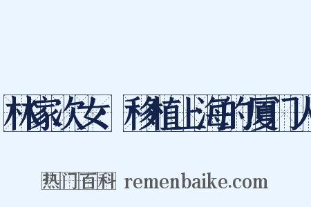 林家次女·移植上海的厦门人是什么意思的图片